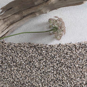 Phenix Carpet  | Ormond Beach, FL